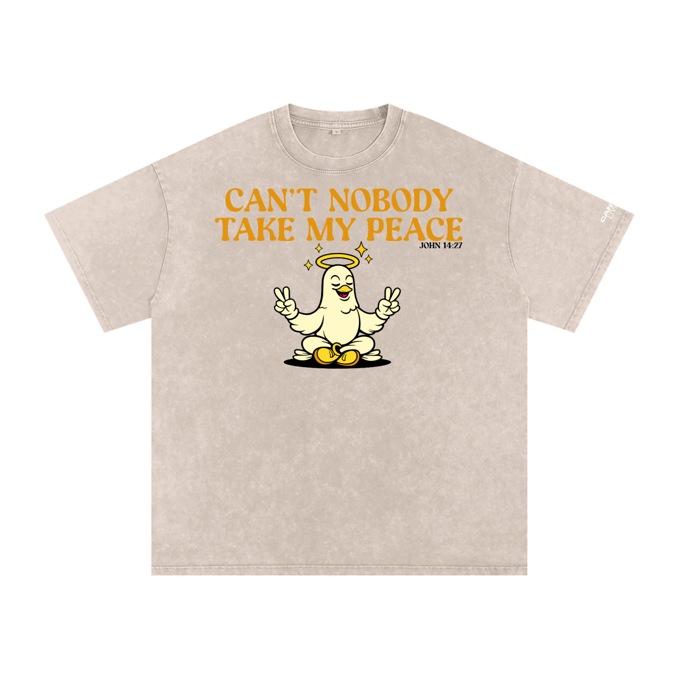 Snow Washed Oversized Cotton T-Shirt