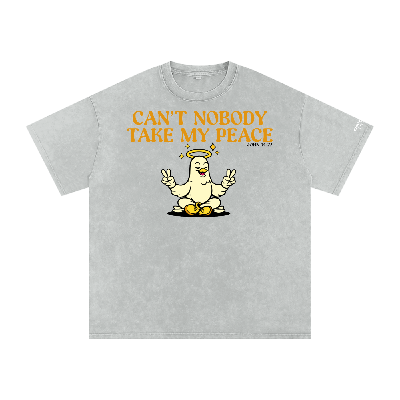 Snow Washed Oversized Cotton T-Shirt
