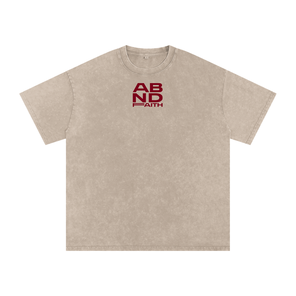 Snow Washed Oversized Cotton T-Shirt